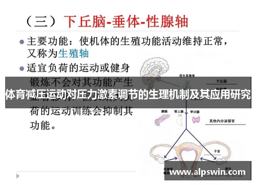 体育减压运动对压力激素调节的生理机制及其应用研究